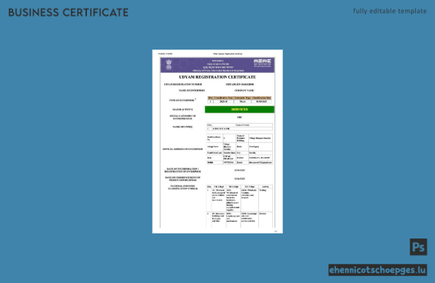 India Udyam Registrierungszertifikat (Word und PDF), Version 4 – Beispielvorschau